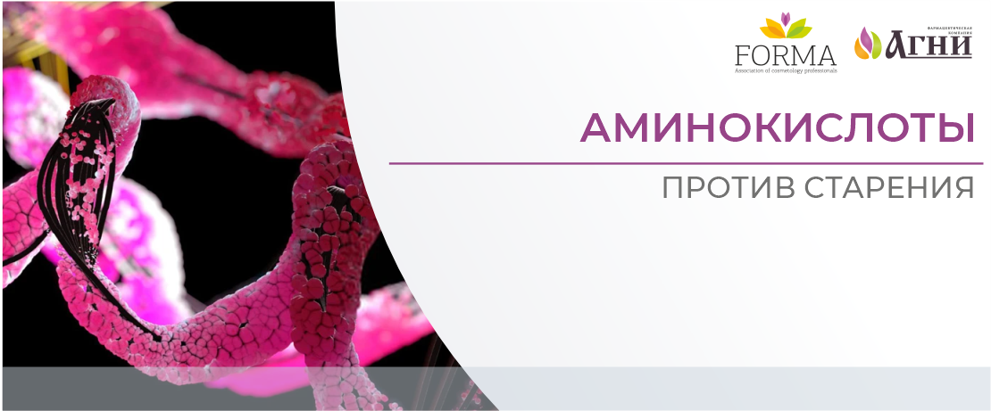 Аминокислоты против старения