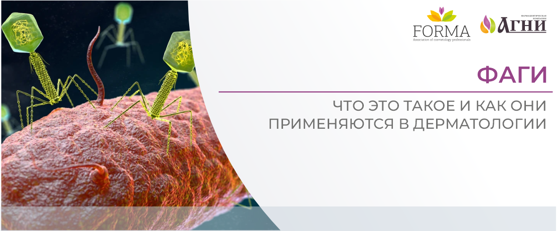 Фаги: что это такое и как они применяются в дерматологии