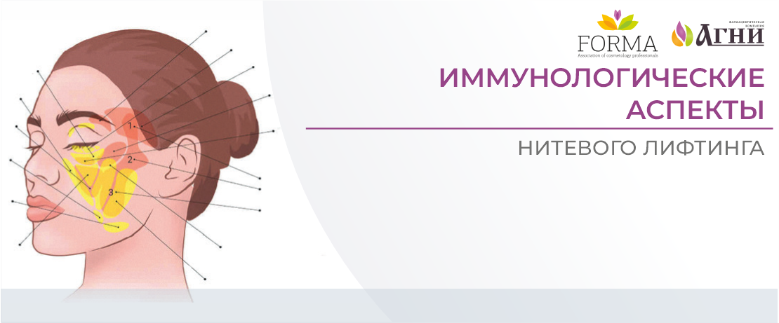Иммунологические аспекты нитевого лифтинга