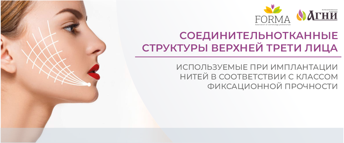 Соединительнотканные структуры верхней трети лица, используемые при имплантации нитей в соответствии с классом фиксационной прочности