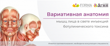 Вариативная анатомия мышц лица в свете инъекций ботулинического токсина